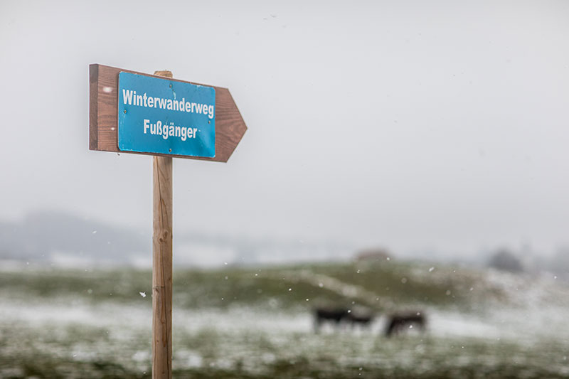 Winterwandern